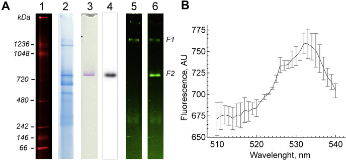 Figure 1