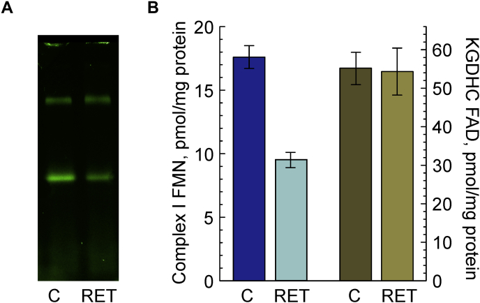 Figure 3