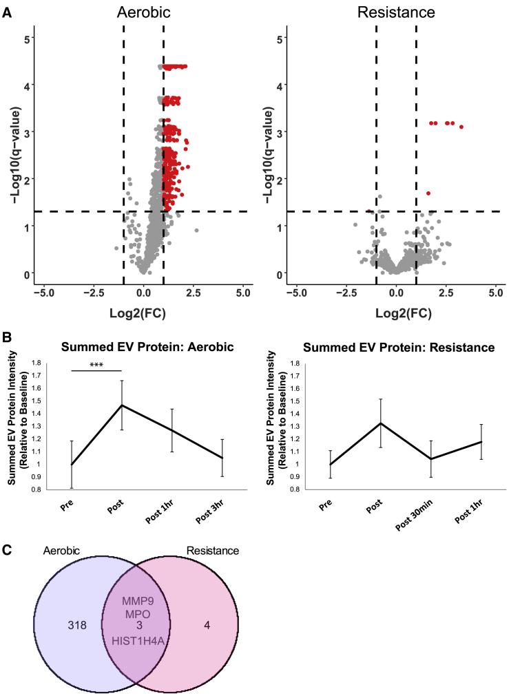 Figure 6