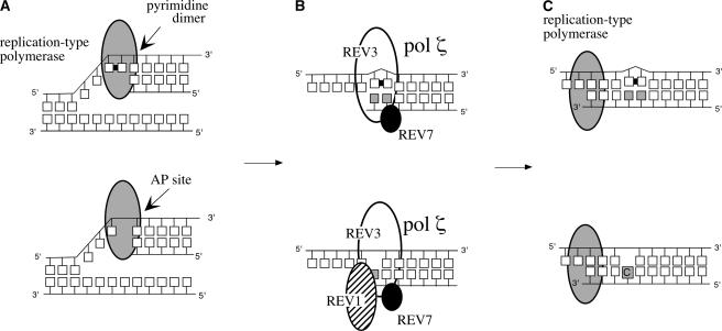 Figure 9.