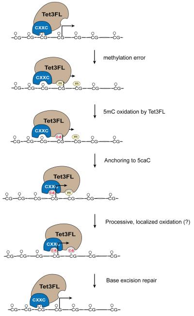 Fig. 7