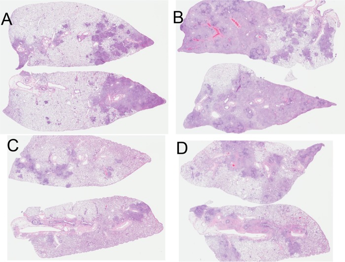 FIG 10