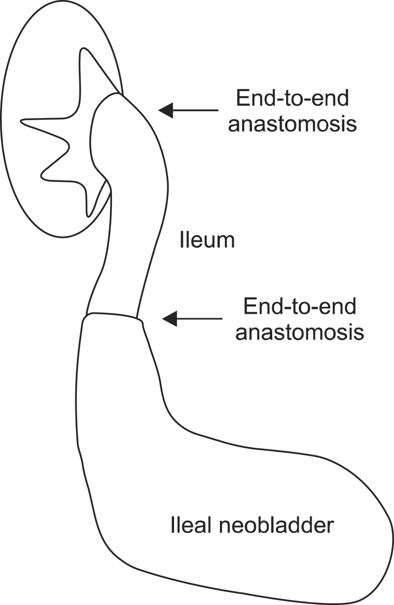 FIG. 6