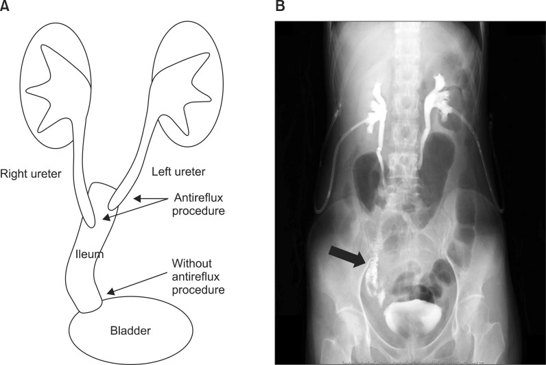 FIG. 8