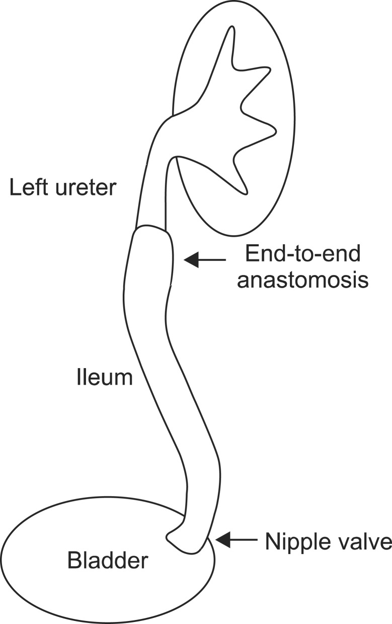 FIG. 5