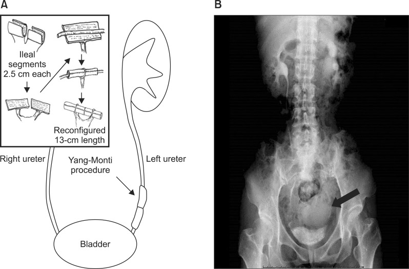 FIG. 7