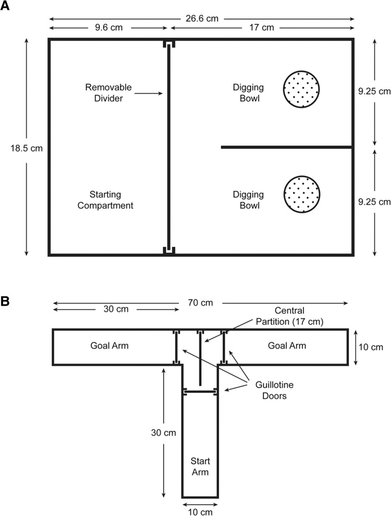 Figure 10.