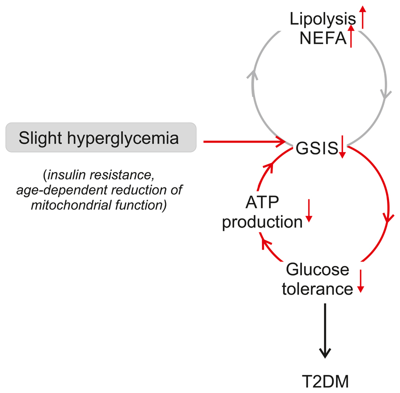 Figure 26