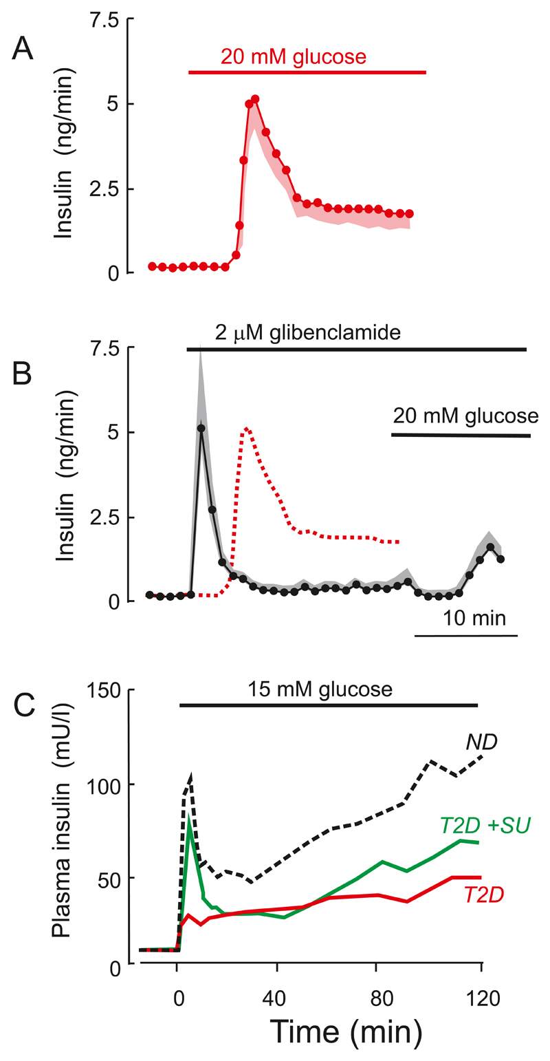 Figure 14