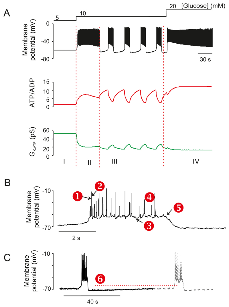 Figure 12