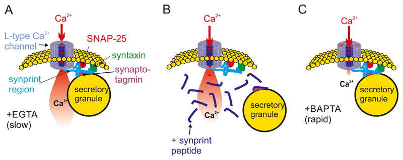 Figure 20