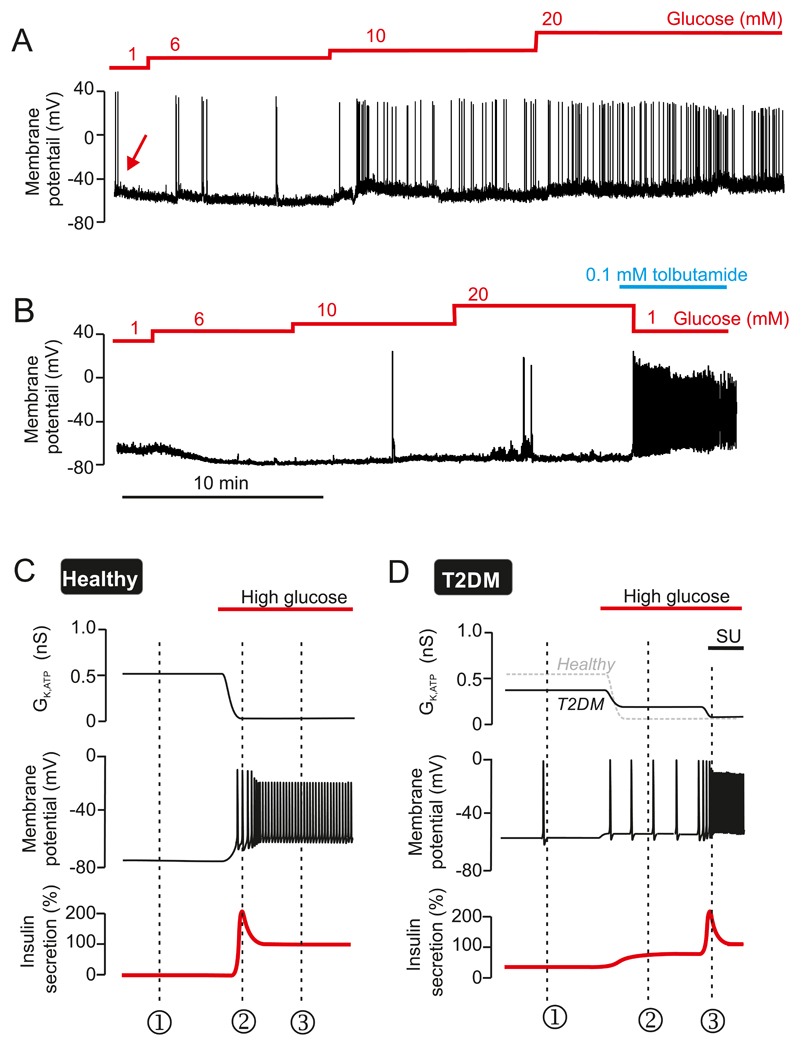 Figure 27