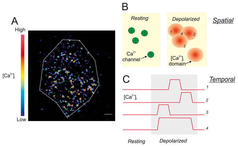 Figure 22