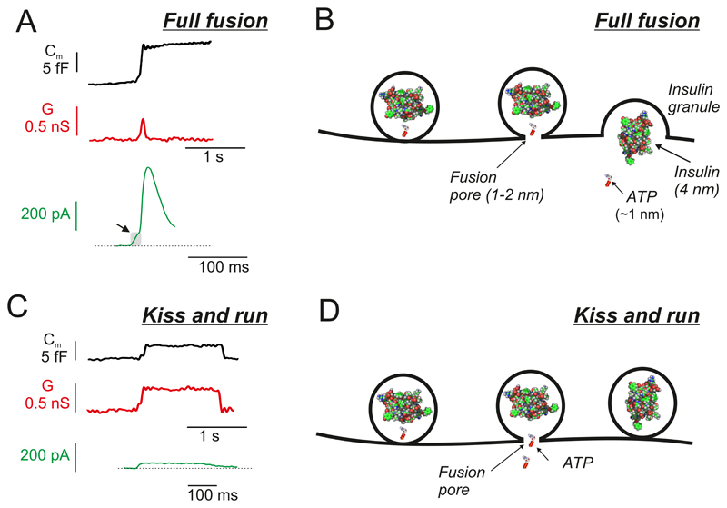 Figure 25