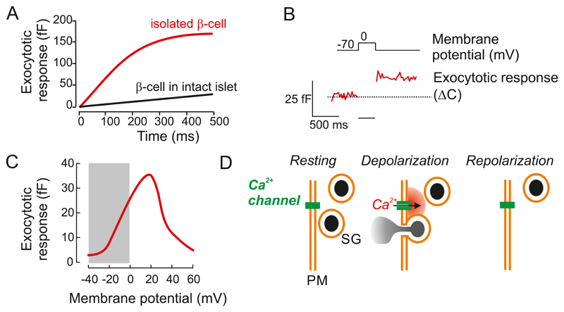 Figure 19