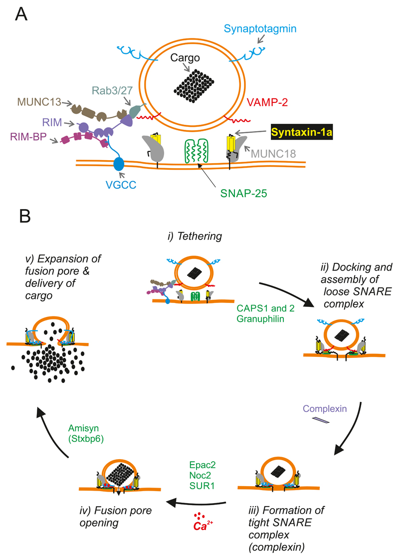 Figure 16