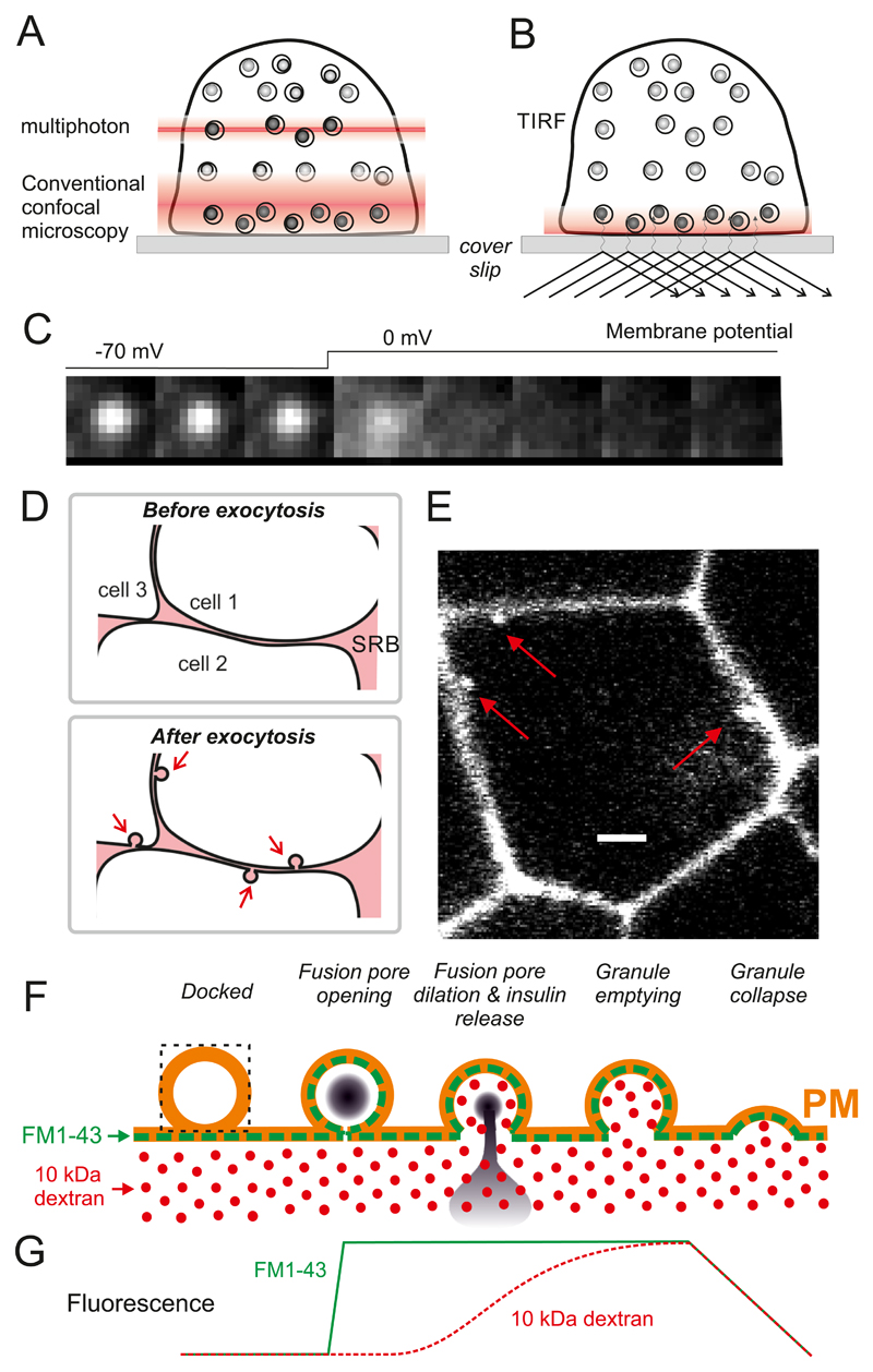 Figure 18