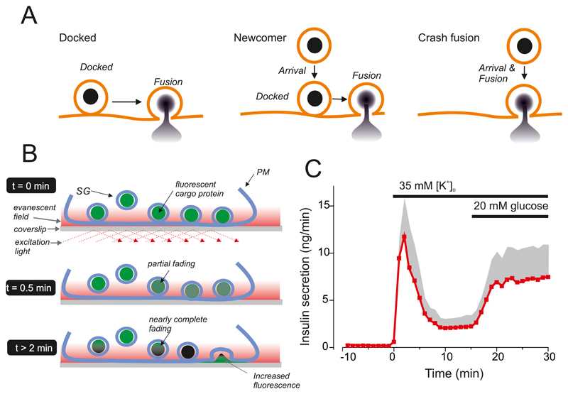 Figure 23