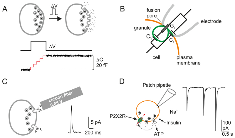 Figure 17