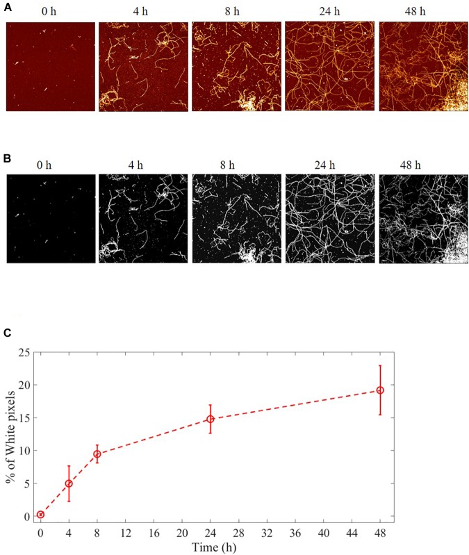 FIGURE 3