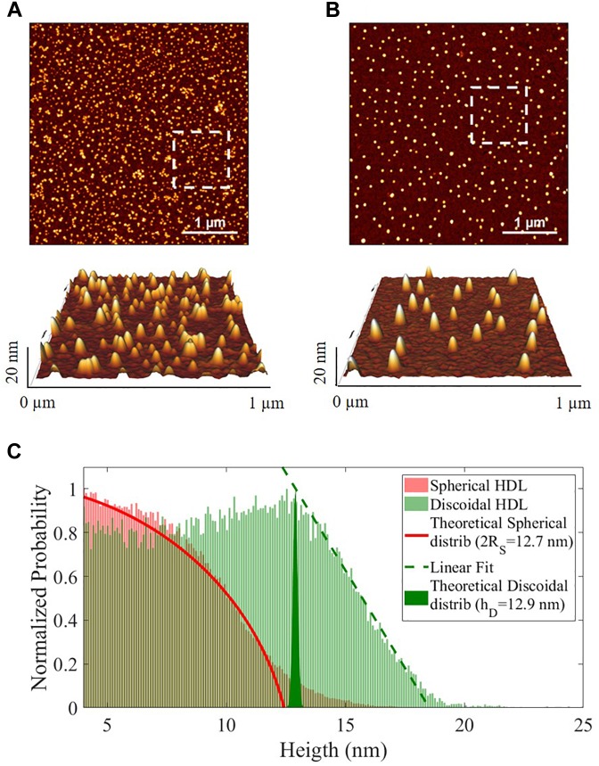 FIGURE 2