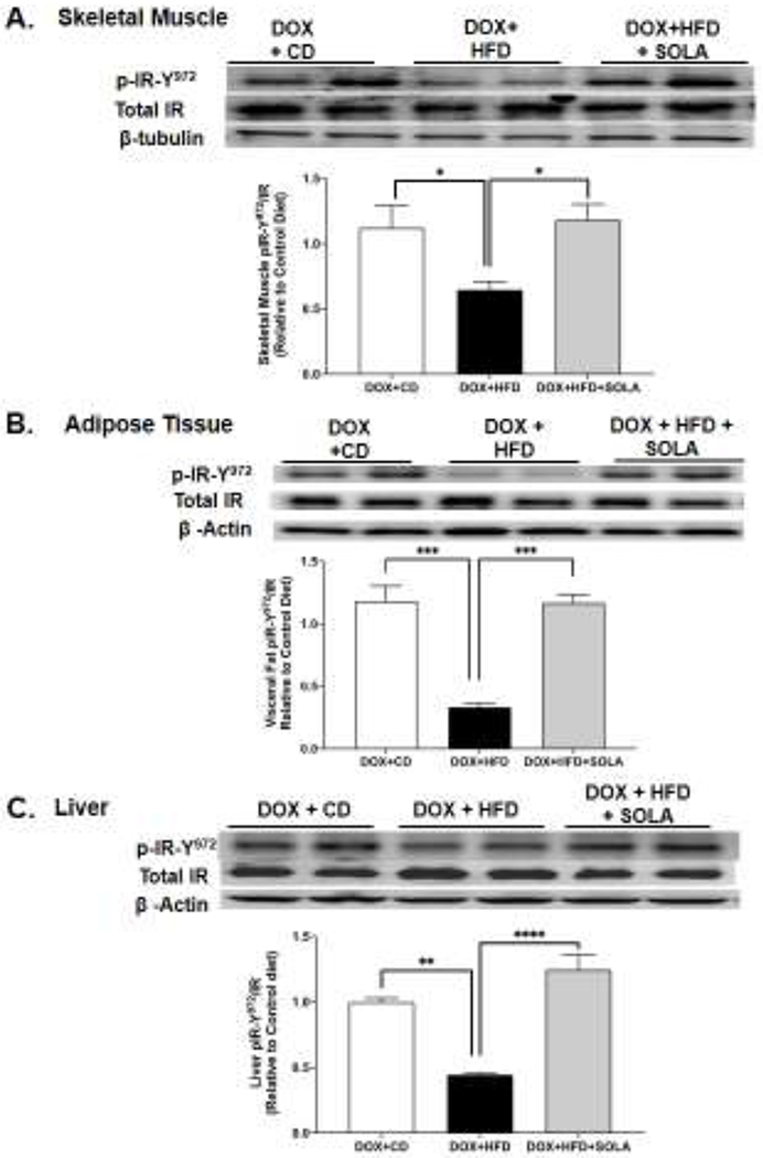 Figure 6: