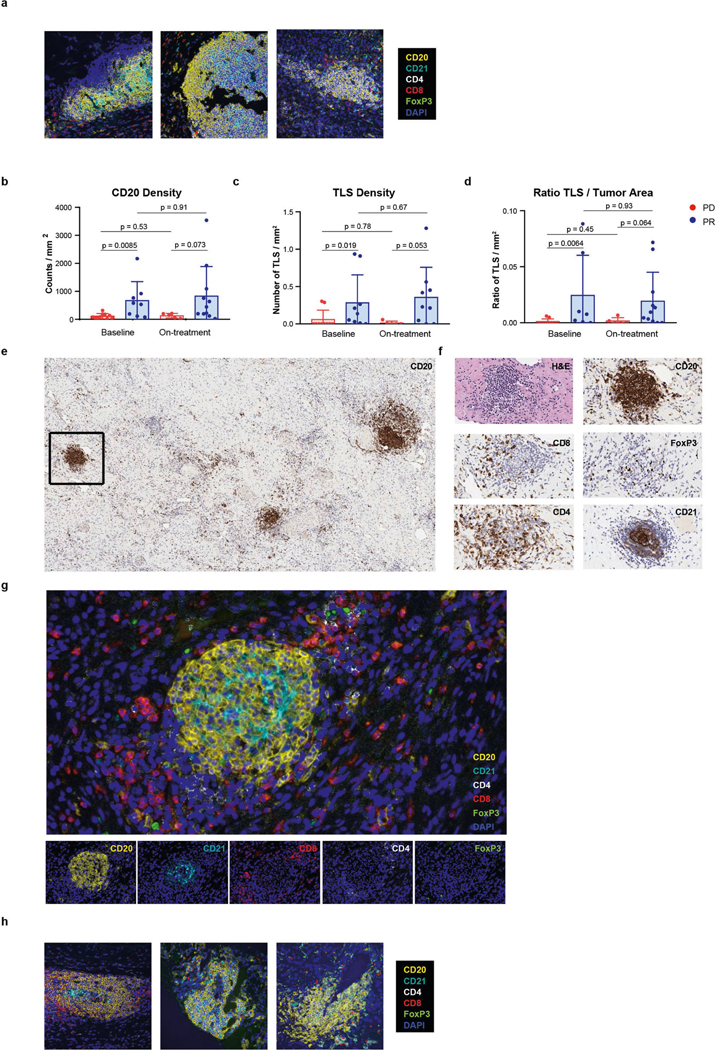 Extended Data Fig. 6 |