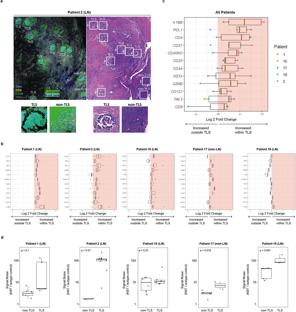 Extended Data Fig. 7 |