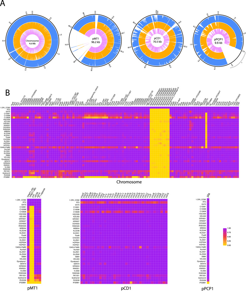 Fig. 2