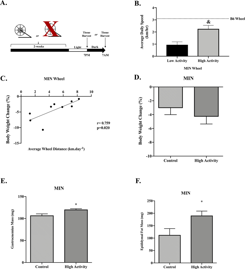 Figure 4: