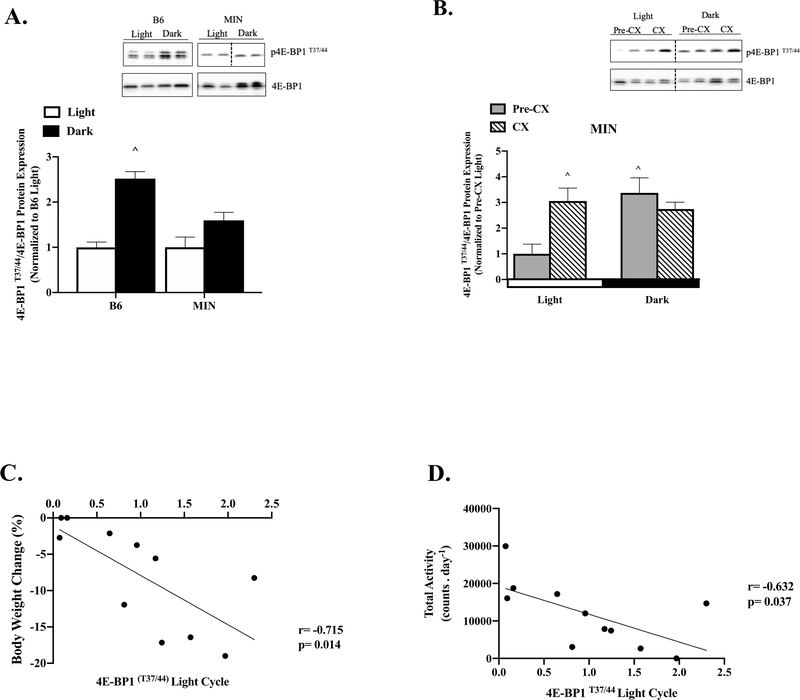 Figure 3: