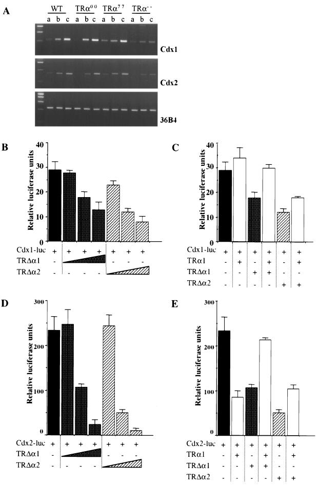 FIG. 6