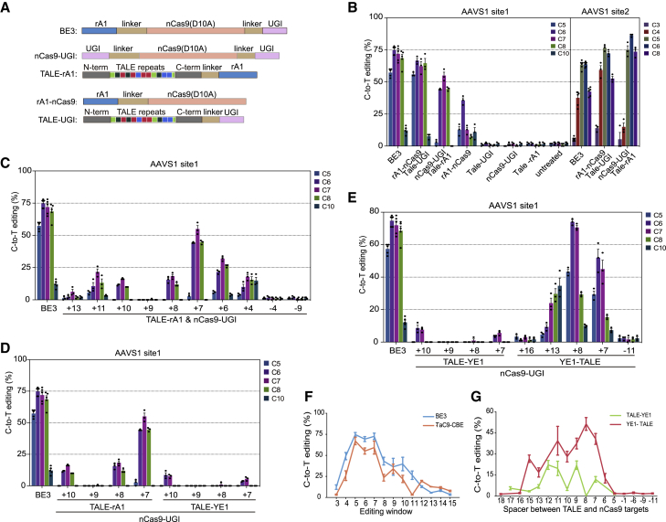 Figure 2