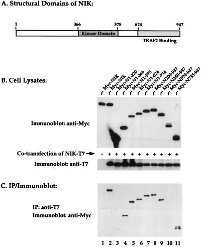 FIG. 5