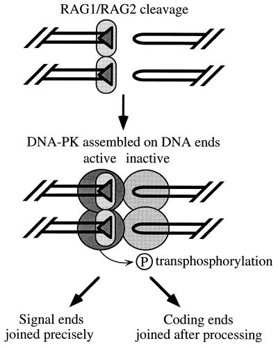 FIG. 5