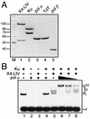 FIG. 4.