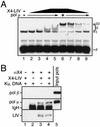 FIG. 6.