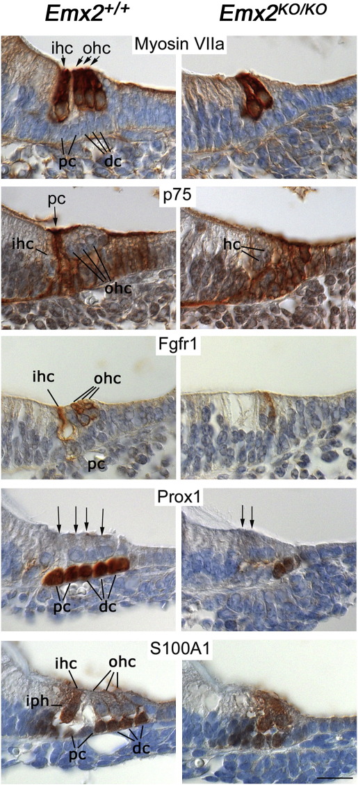 Fig. 9