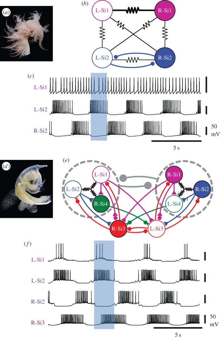 Figure 6.