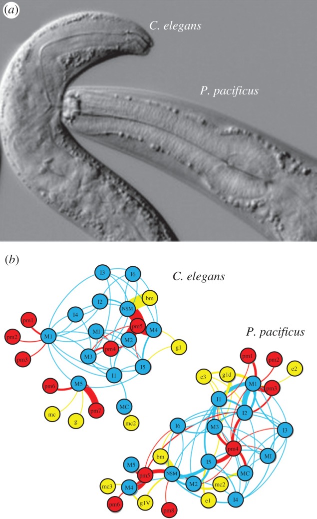 Figure 5.