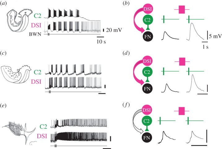 Figure 7.