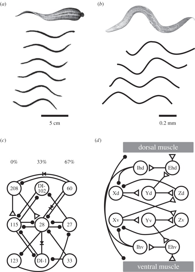 Figure 8.