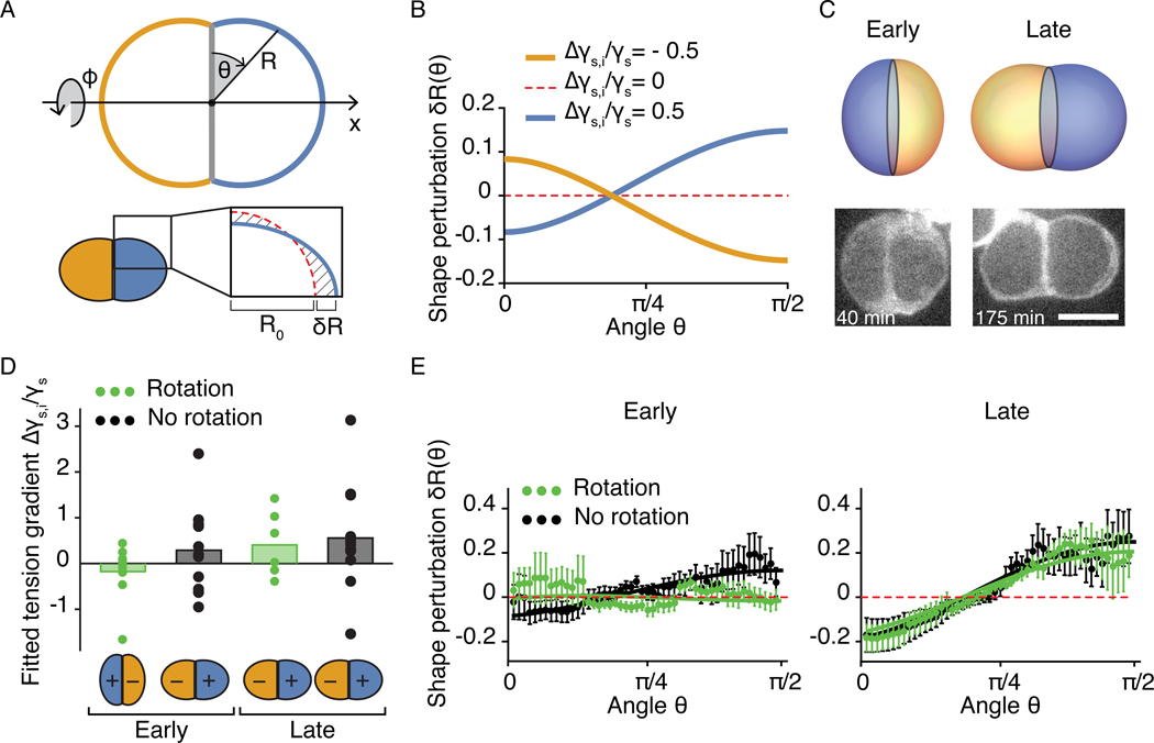 Figure 5: