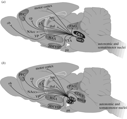 Figure 1.