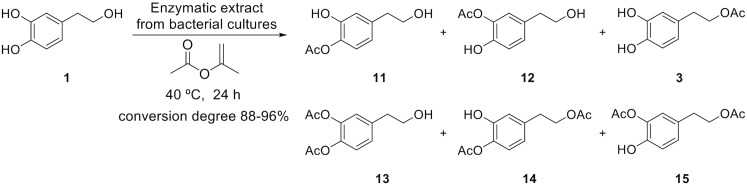 Fig 7