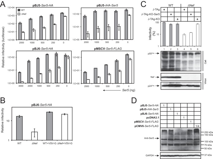 FIG 2