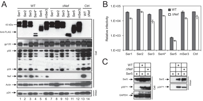 FIG 1