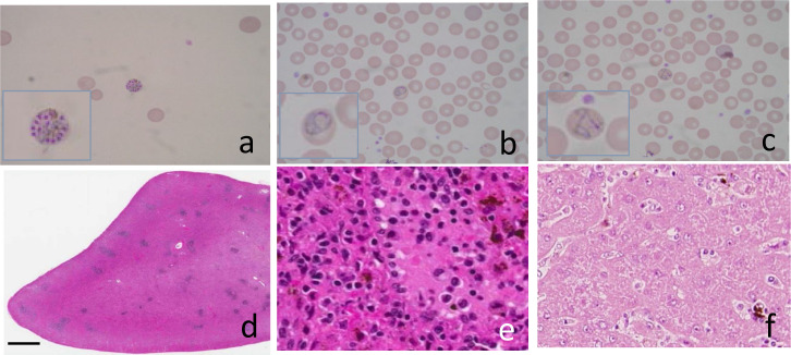 Fig. 11.