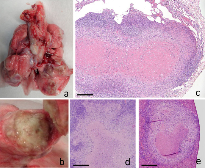 Fig. 5.