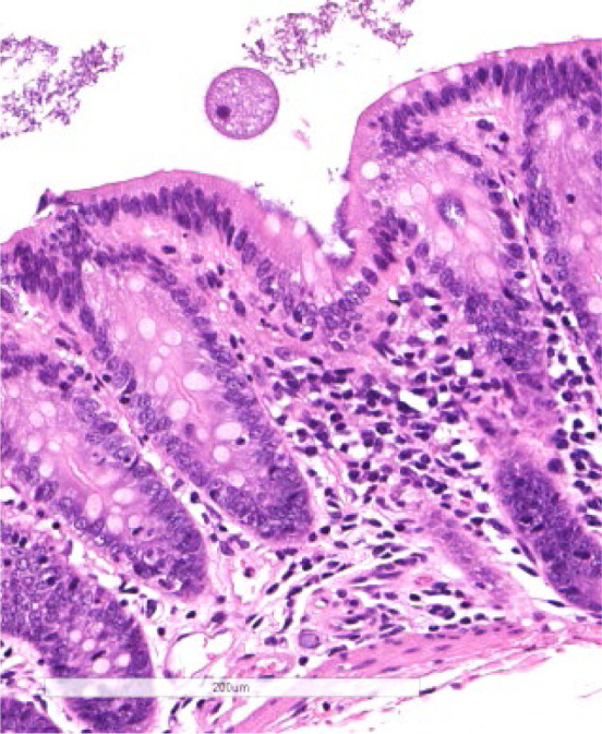 Fig. 9.